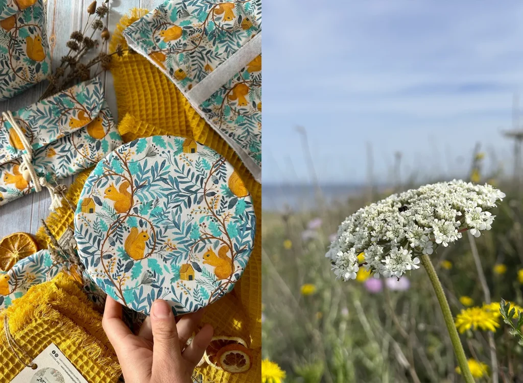 Copriciotole artigianali in tessuto con fantasia scoiattoli, realizzati a mano da Aprilcot fatto a mano su sfondo giallo, accanto a un fiore selvatico in Sardegna con il mare sullo sfondo.
