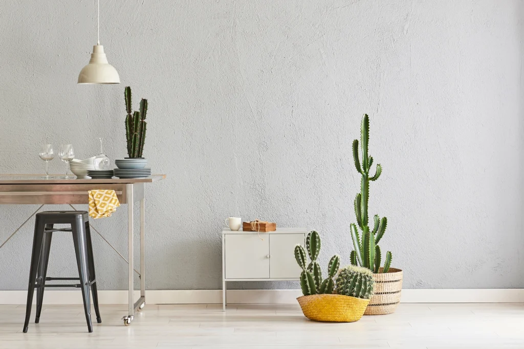 La semplicità volontaria è uno stile di vita consapevole.