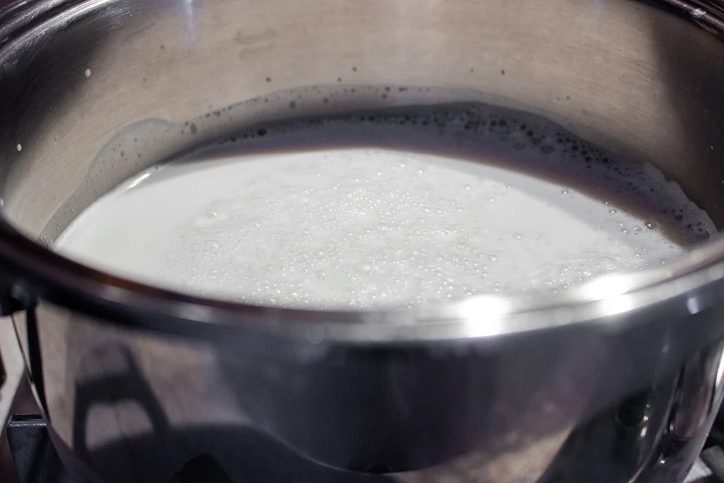 Latte di soia fatto in casa