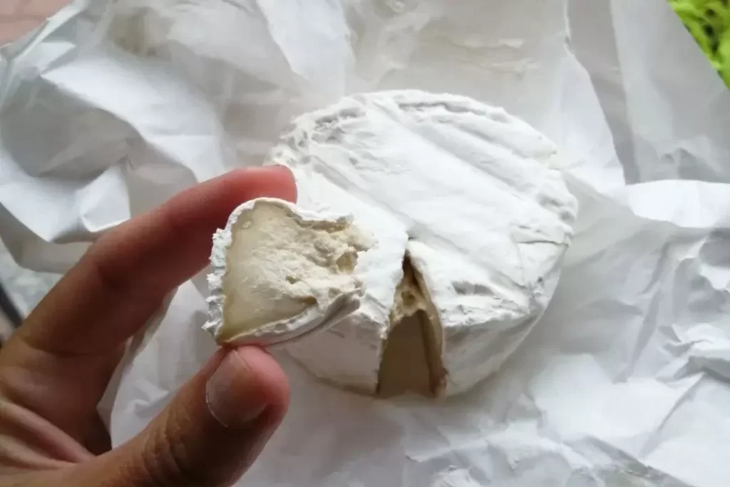 Formaggi vegani: il Cashewficio